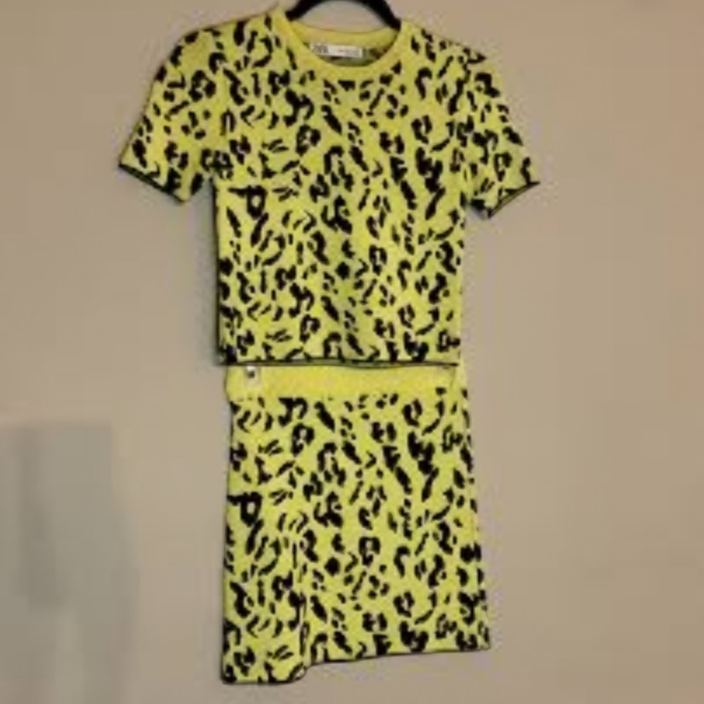 ZARA ANIMAL PRINT KNIT TWO PIECE
